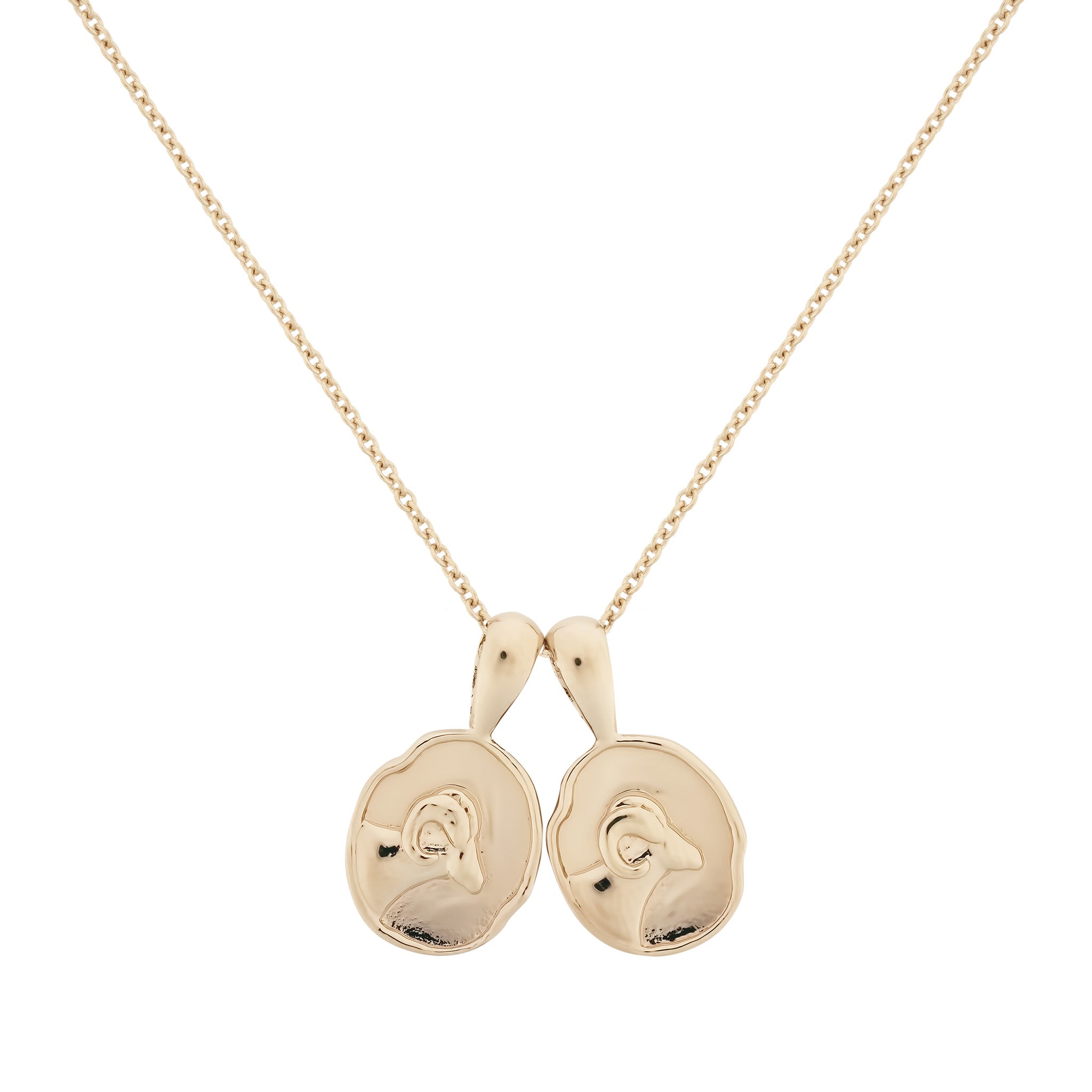 Aries II Necklace | 2 Small
