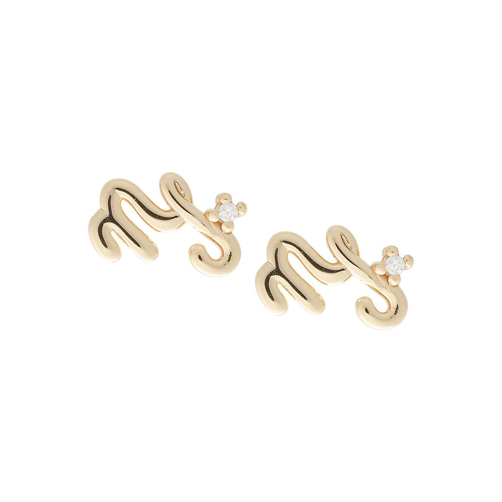 Capricorn Symbol Studs