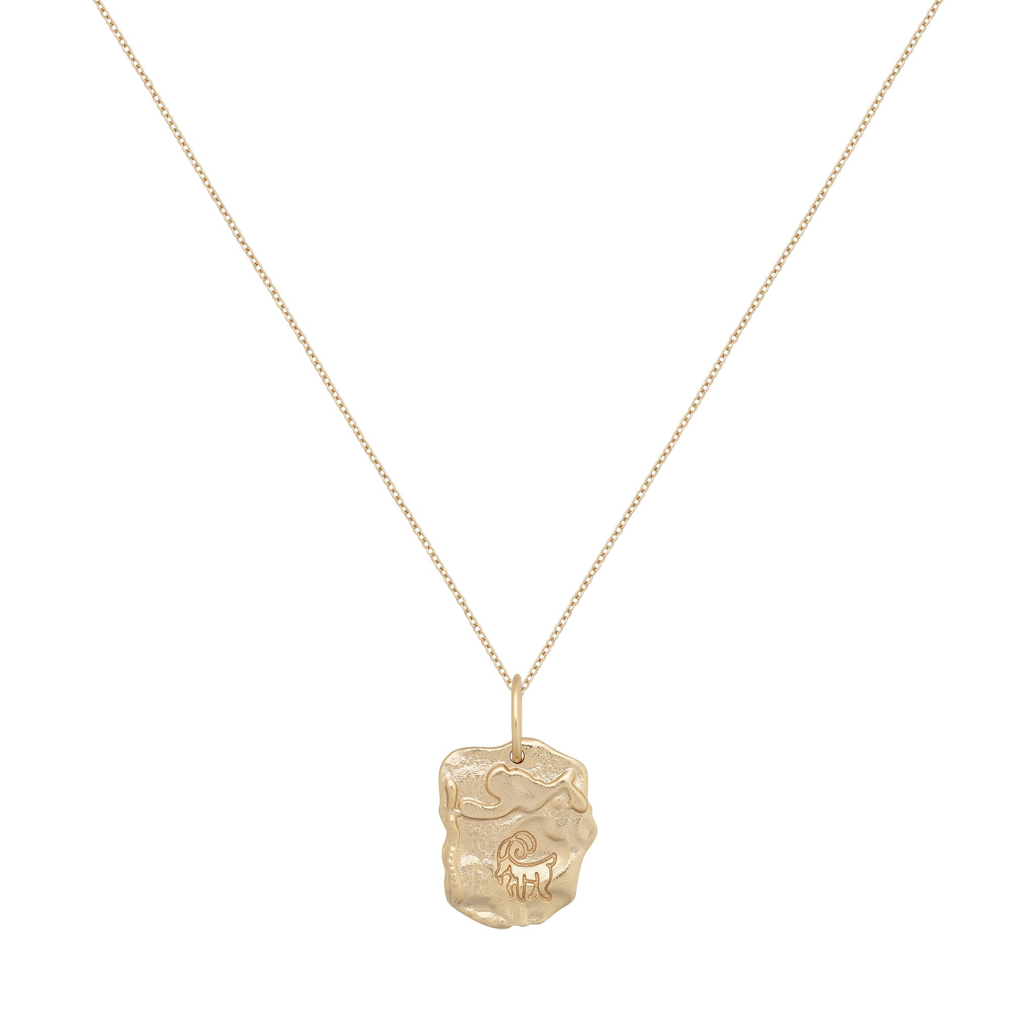 Capricorn Astrology Necklace