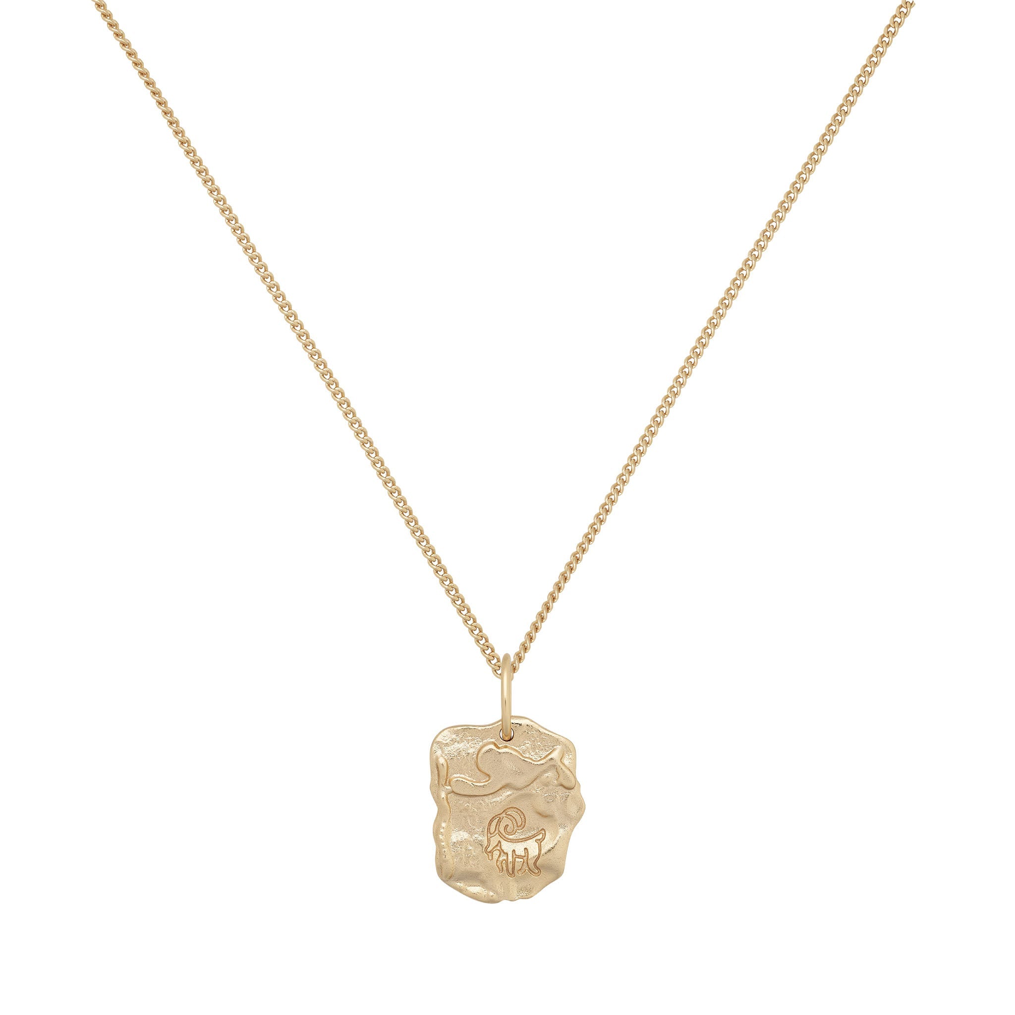 Capricorn Astrology Necklace