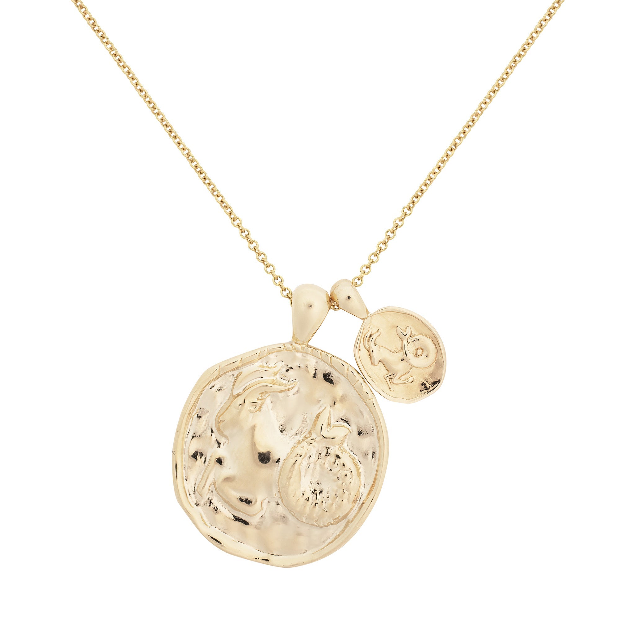 Capricorn II Necklace