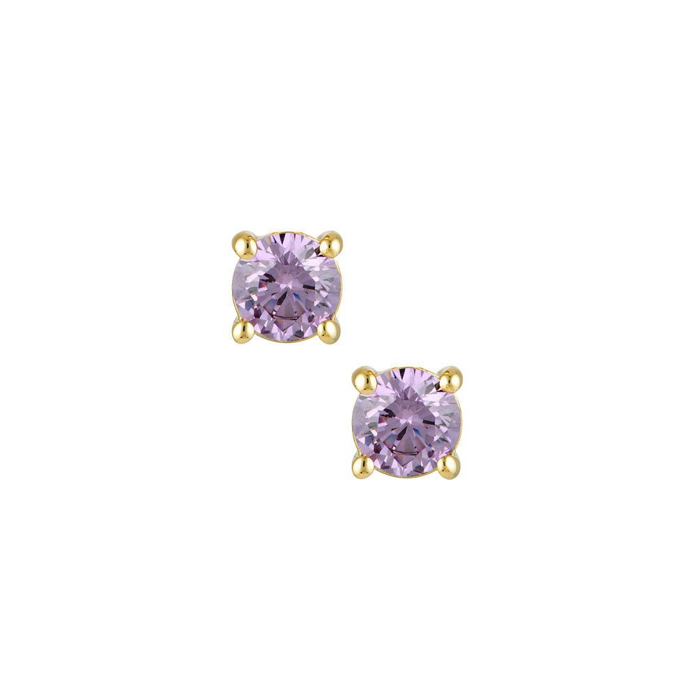 February Birthstone Studs