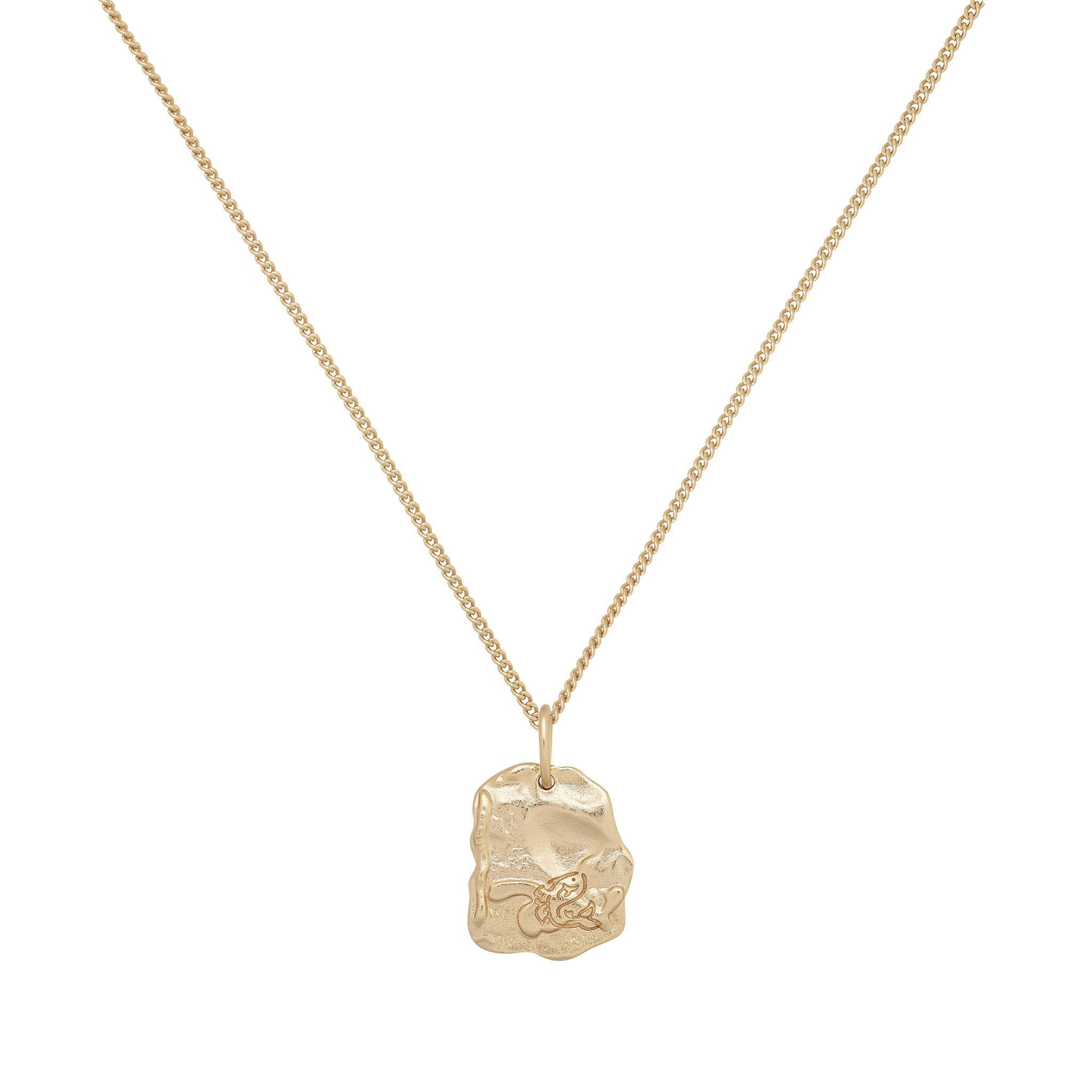 Pisces Astrology Necklace