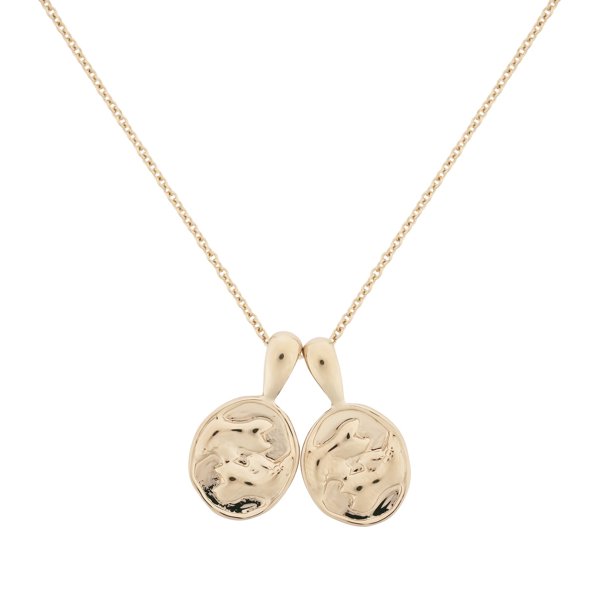 Pisces II Necklace | 2 Small