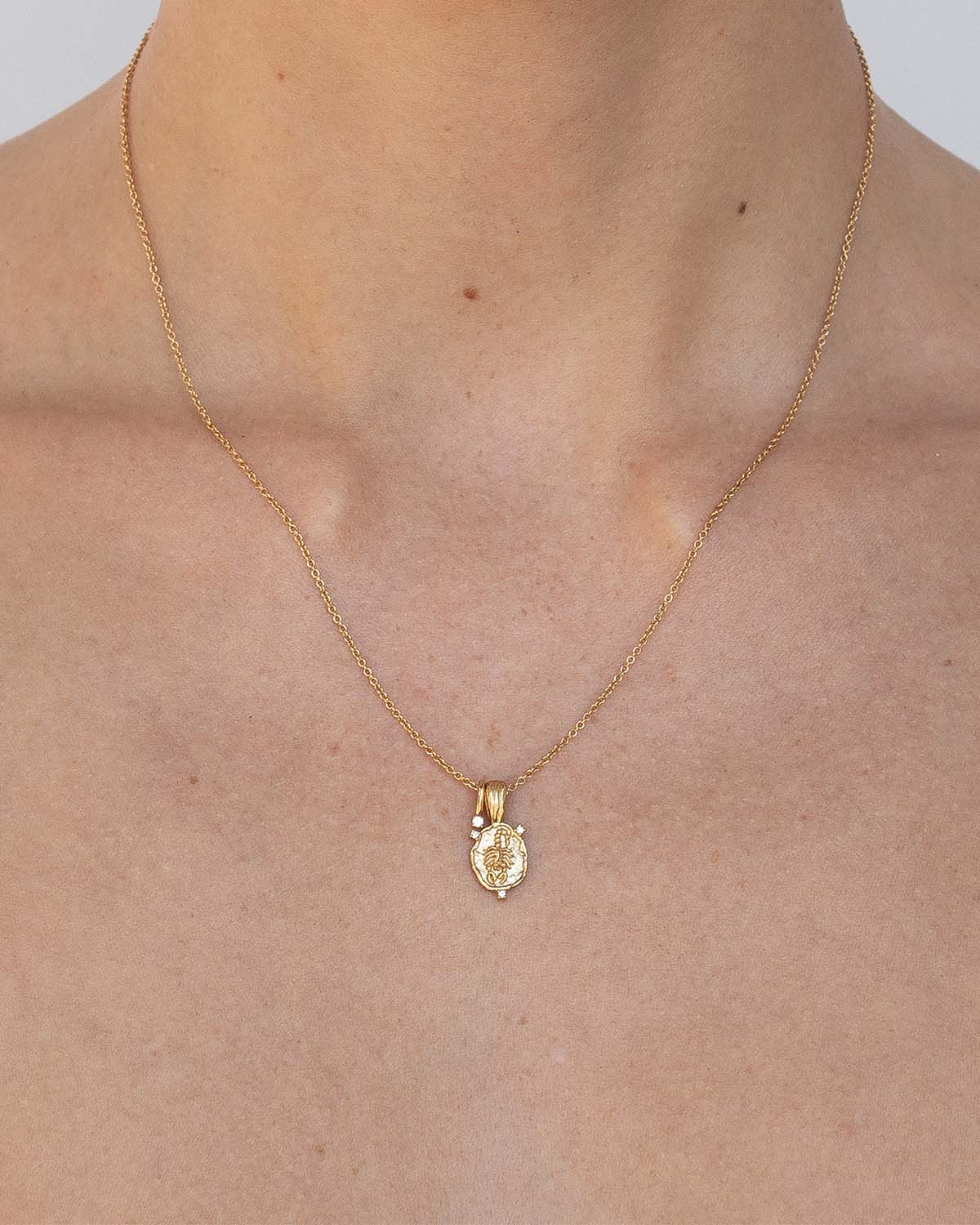 Scorpio Amulet Necklace