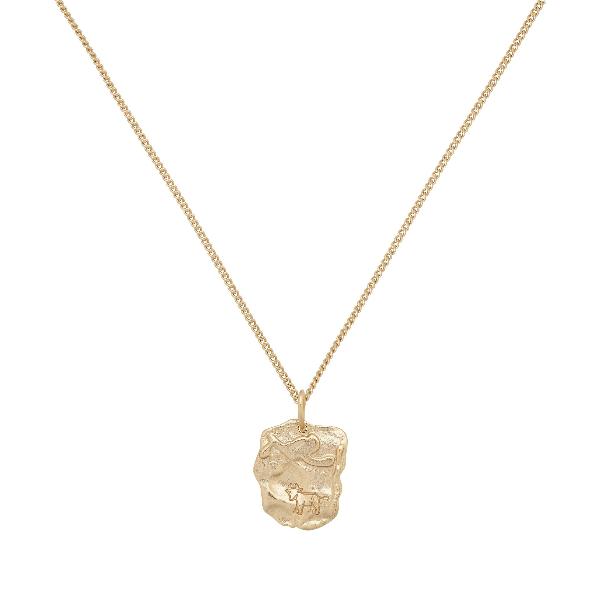 Taurus Astrology Necklace