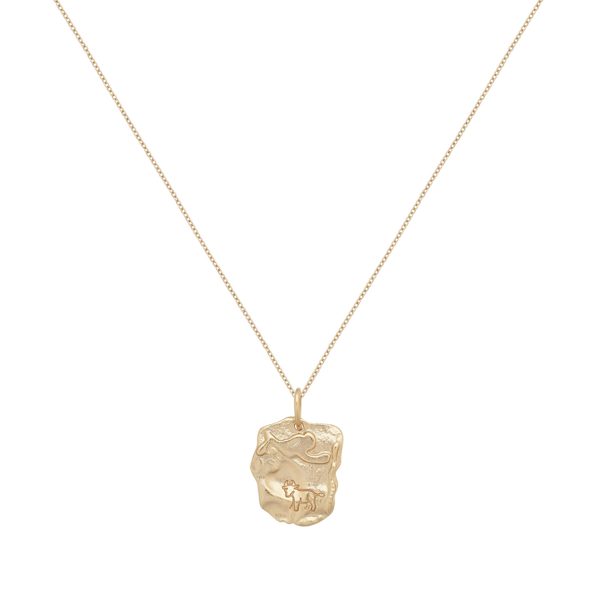 Taurus Astrology Necklace